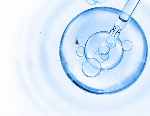 DENTRO LA FORMULA | Acido Glicirretico
